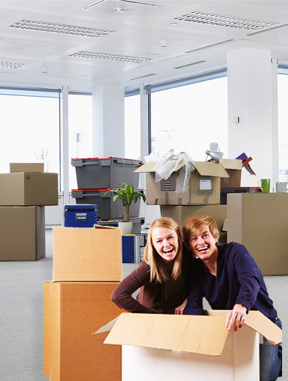 Office Removals