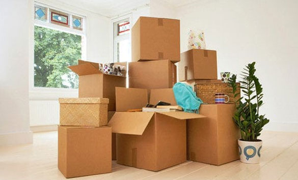 Removalists Adelaide